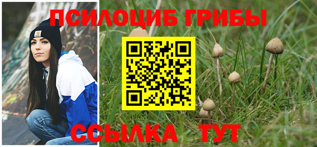 Стрежевой  Галлюциногенные грибы Psilocybe  Вход с VPN 